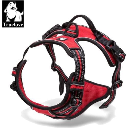 Dog Harness and Leash Set Dogs Accessoires Dog Vest Harness Dogs Pets Accessories Puppy Dog Leash Reflective Breakaway