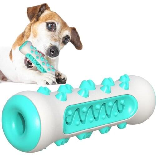 New Pet Dog Toy Bone Shaped Molar Rod Cleaning Teeth Dog Toy Pet Toothbrush Pet Supplies Chew Toys Qianyi