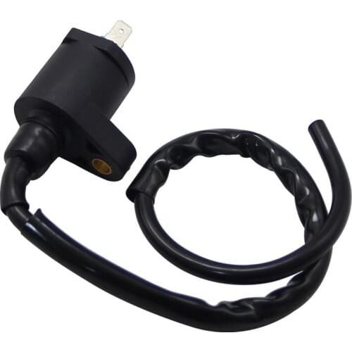 Motorcycle High Voltage Coil For Polaris Outlaw Predator 50 Sportsman 90 Ranger RZR 170 Phoenix Sawtooth 200 OEM:0452309 0453894