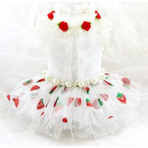 Dog Clothes Pet Dress White Soft Cotton Lace Hepburn Style Lady Sweet Strawberry Multi Layer Skirt Princess Outfit Yorkie Poodle