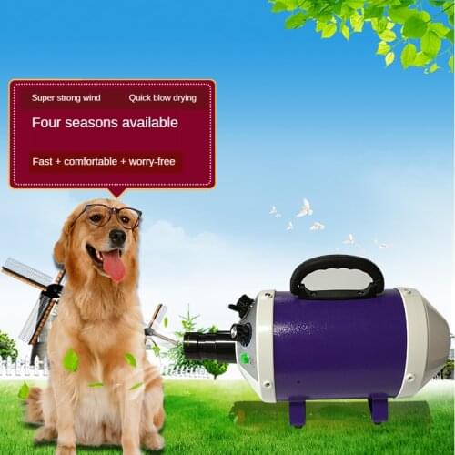 2800W Power Hair Dryer For Dogs Pet Cat Grooming Blower Warm Wind Secador Fast Blow Small Medium