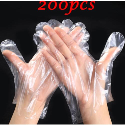 CelinaIce Disposable Tableware