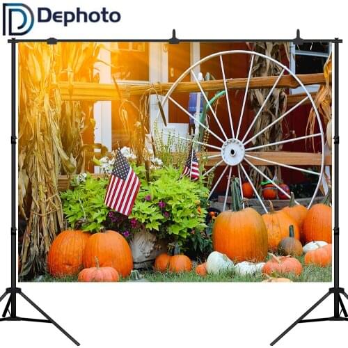 Dephoto Autumn Wheel Flag Pumpkin Harvest Seasons Baby Portrait Photo Background Photographic Backdrops Photo Studio