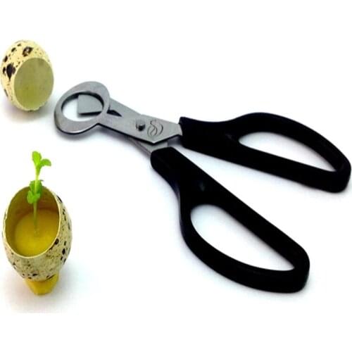 Quail Egg Scissors Fresh Bird Egg Scissors Stainless Steel Egg Cutters Cutters Egg Opener Egg Shell For Kitchen Utensils Tools