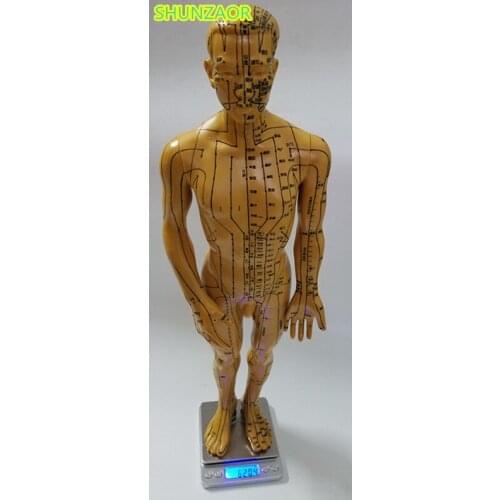 Meridian model human acupuncture point human body model 50cm Medical Education Appliances male