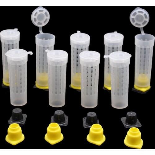 10PCS Beekeeping Bee Plastic Queen Rearing Cage Cup Box Pedestal Protection Cover Protective Base Bees Tools Supplies Equipment