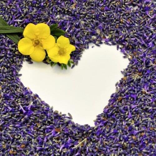 50g Scent Fragrance Natural Dried Flower Lavender Particles Diy Aromatherapy Aromatic Air Refresh