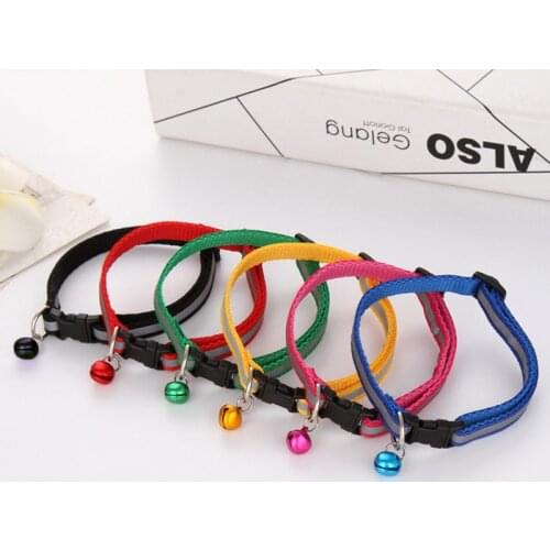 CAZZO Collars, Harnesses And Leashes