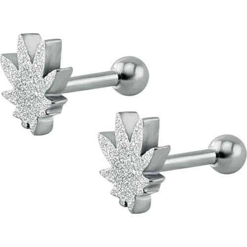 Charming 16g Earring Stud Leaf Shape Design Stud Earrings For Women/Men 316L Surgical Steel Piercing In The Earlobe Jewelry