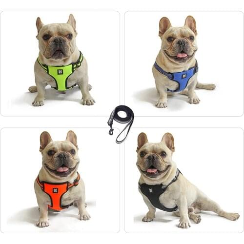 Pet Dog Harness with Leash Adjustable Vest Walking Supplies Soft Breathable pet sets Collar Puppy for Small Medidum Large Dogs