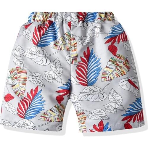 2-6 Years Children Clothing Summer Boys Leisure Shorts Boys' Casual Shorts New Outing Holiday Beach Pants For Kids Camp Outfit