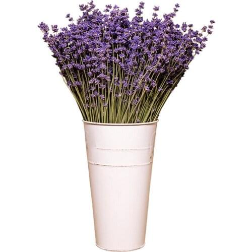 1 Bundle Natural Flowers Romantic Provence Lavender Lasting Fragrance Wedding Decor Vase for Home Decor Grain Christmas Plant