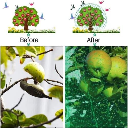 Plant Netting Anti-insect Outdoor Garden Netting Cover Nylon Fruit Tree Mesh Screen Prevent Bird Insects Garden Netting