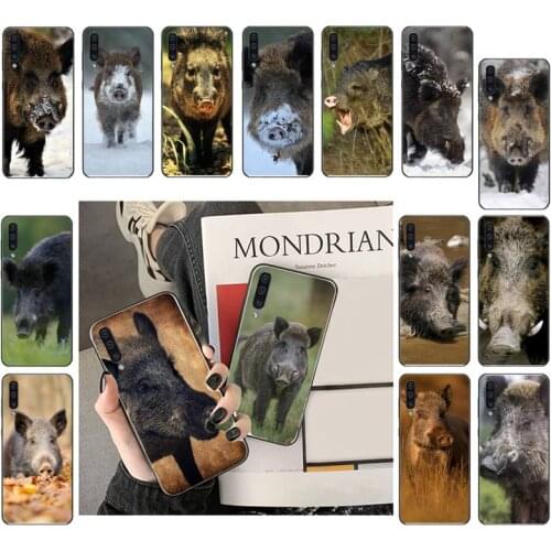 Animal Wild Boar Phone Case For Samsung A41 A31 A50 A32 A11 A12 A02 A52 A21 M31 A72 A51 A70 A71 A21S
