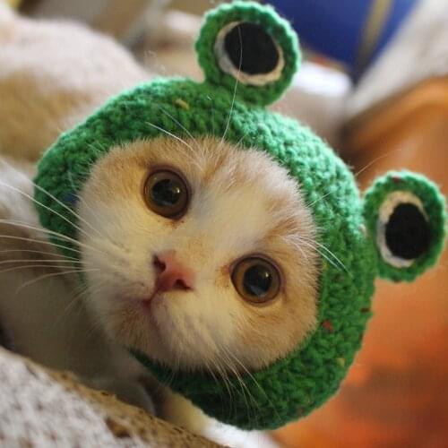 Pet Hat Frog Hand-woven Cat Hat Kitty Puppy Head Cover Lovely Cartoon Woolen Hat Headdress Hair Cover Pet Accessories