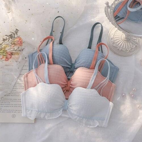 Wasteheart New Women Fashion White Blue Sexy Lingerie Padded Wireless Bra Lace Mesh Cotton Panties Briefs Underwear A B Straps