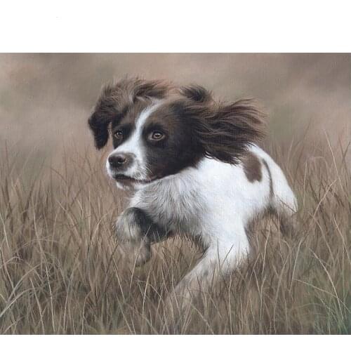 Springer spaniel Full Square Diamond Painting Animal cute Dog DIY Diamond Embroidery 5D Rhinestones Mosaic Picture By Numbers