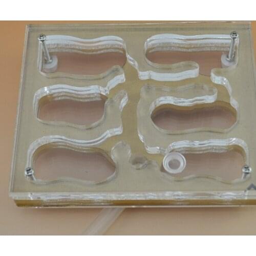 Three-dimensional Multifunctional Ant Farm Acrylic Ecological Ant Nest Transparent Anthill Ant Reptile Terrarium
