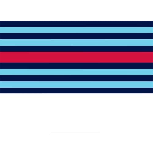 Dawasaru Cool Strip Car Stickers Scratch-Proof Decal Surfboard Suitable for All Types of Vehicles,15cm