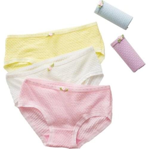 4Pcs/lot Panties Women Underwear Briefs Breathable Underpants Girls Soft Panty waist size girls briefs T9040-4