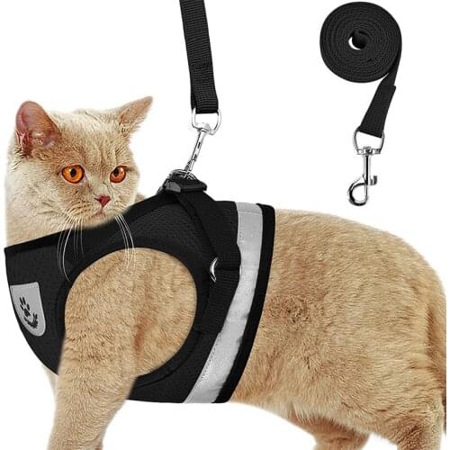 LDLC Collars For Cats