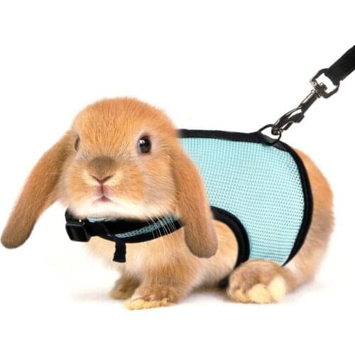 JANPET Rabbits Harness with Elastic Leash for Small Animal Adjustable Soft Pet Walking Lead Hamster Ferret Guinea Pig S/M/L