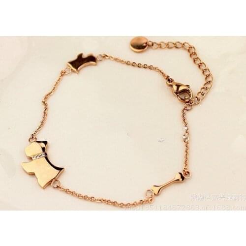 Luck Dog Bone Titanium Steel Rose Gold Anklets Cubic Zircon Rose Gold Anklet Girls Anklet gift accessories