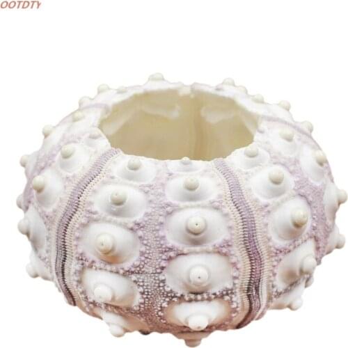 OOTDTY Air Plants Sea Urchin Tabletop Tillandsia Holder Miniature Gardening Decorations