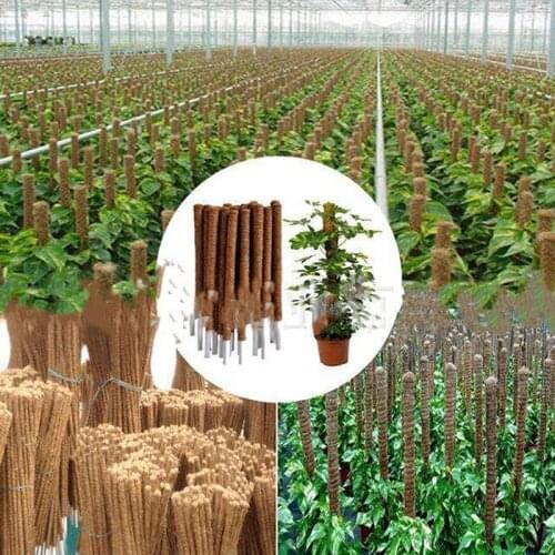 Plant Climbing Coir Totem Pole Safe Gardening Coconut Palm Stick For Climbing