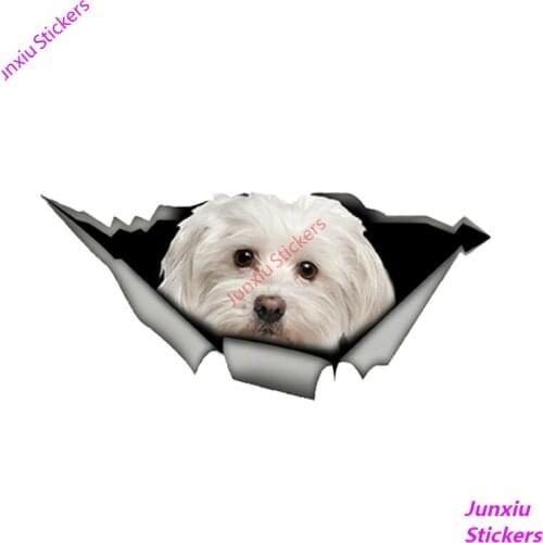 Hot Sell Maltese Pet Dog Vinyl Car Stickers Camper Sticker Decal Waterproof Accessories for JDM SUV RV VAN