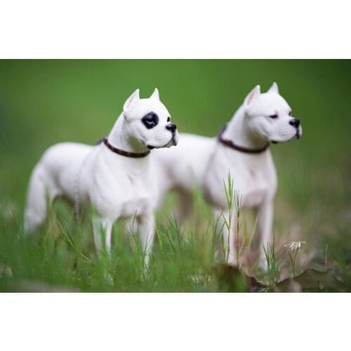 M7 1/6 Dogo Argentinos Dog Pet Figure Animal Model Collector Decoration Resin Animal Dog Pet Model Education Adult Kids Toy Gift