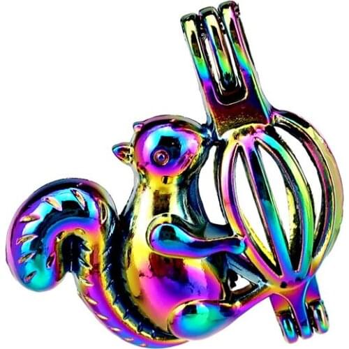 C501 5pcs/lot COLORS Multicolor Squirrel Beads Cage Pendant Locket Fairytale Party Essential Oil Diffuser