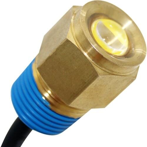 DY-DP09 1/2"NPT Threaded Red Green Blue White 10-15V 9W Brass Housing Underwater Fishing Marine Yacht Boat LED Drain Plug Light