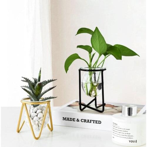 Hydroponic Plant Pot with Transparent Glass Container Geometric Wrought Iron Decoration