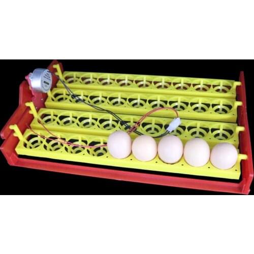New 36 Eggs Automatic Incubator Turn The Eggs Tray Chicken Pheasant Tray Automatic Incubator Experimental Teaching Equipment