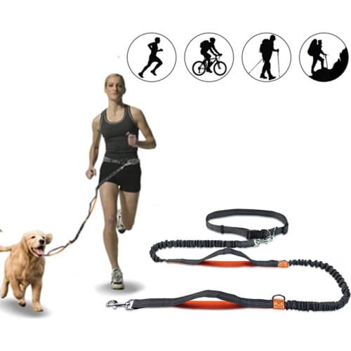 Elastic Dog Running Belt Leash Set Hands Free Bungee Retractable Pet Leashes Jogging Training For Medium Large Dog Supplies