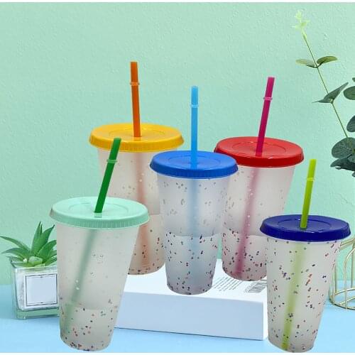 5Pcs/Set Reusable PP Temperature Sensitive Color Changing Bottle Cup with Straw