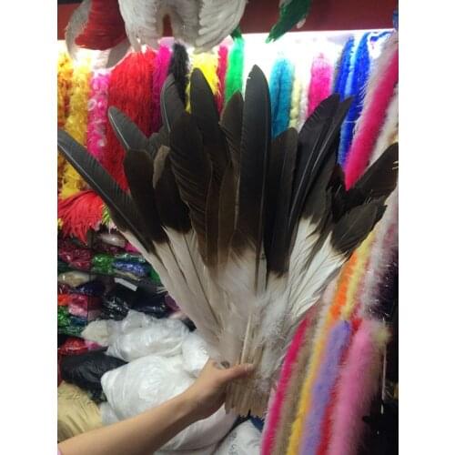 Perfect a sets carce natural golden eagle feathers 12-20inch /30-50cm