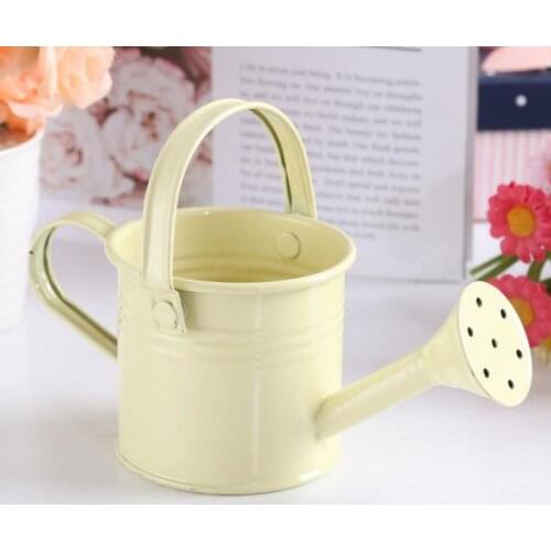 1pc Andy Color Metal Arrangement Succulent Planting Pot Mini Sprinkler Home Garden Indoor Vintage Flower Watering Iron Pott