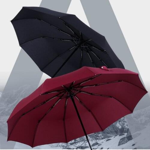 Windproof Double Automatic Folding Umbrella Female Male Ten Bone Car Luxury Large Business Umbrellas Men Rain Women Gift Parasol
