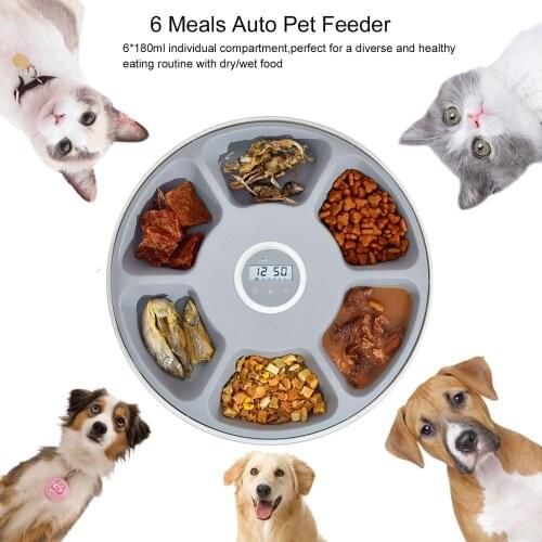 6-Meal Automatic Pet Feeder Programmable Timer Wet Dry Food Dispenser Cat Dog Auto Feeder for Cats Dogs Battery USB Power Supply