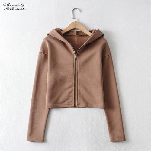 Womens Autumn Cropped Streetwear Hooded Fitness Solid Long Sleeve Sweatshirt Loose Top Grey Terry Zip-up Hoodie