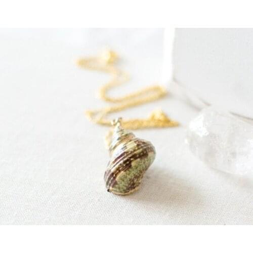 WTLTC Real Nautical Conch Shell Pendant Necklaces for Women Beach Seashell Necklace Bohomia Chain Charm Chokers Bijoux Femme