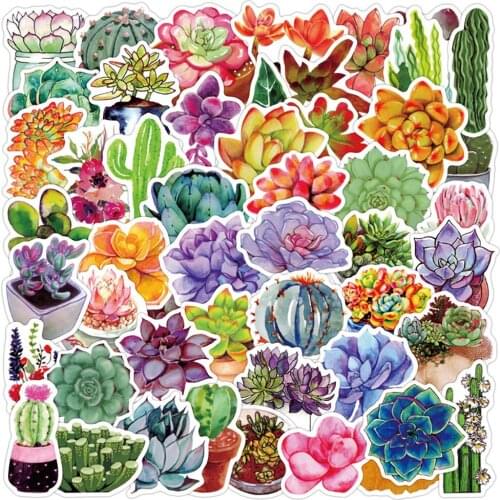 10/30/50PCS Succulents Plants Stickers Motorcycle Travel Luggage Phone Fridge Laptop Joke Classic Graffiti Sticker for Kids