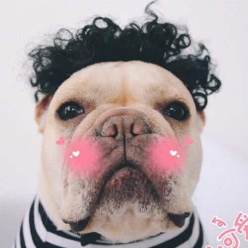 Dog Cat Wig Clothes Accessories Photography Props Star Pet Dress Up Funny Funny Fashion Wig Pet Toys