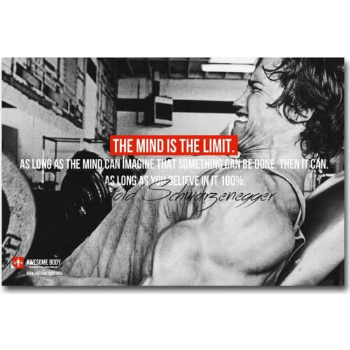 060 ARNOLD SCHWARZENEGGER - Bodybuilding 112 Wall Silk Cloth Poster Art Decoration Gift