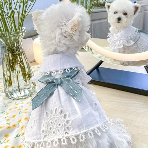Two-legged Bow Hollow White Skirt Teddy Small and Medium-sized Dog Costumes Pet Dog Dresses Cat Clothes Spring and Summer