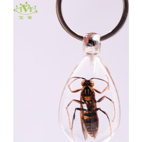 Transparent Resin Real Wasp Cute Keychain Natural Bee Key Ring Insect Specimen Animal Key Chain on The Bag Gift for Kids Men