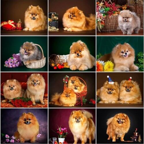 Diamond Embroidery Animal Picture Of Rhinestones 5D Diamond Painting Dog Cross Stitch Diamond Mosaic Beaded Decor