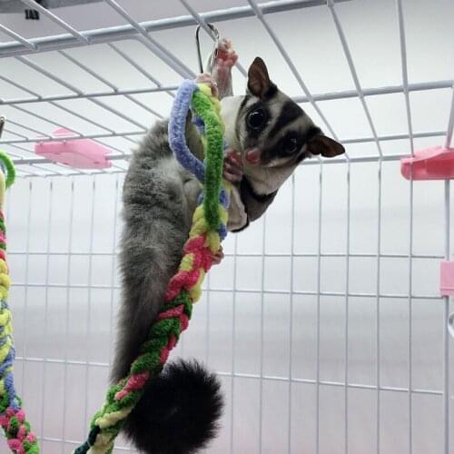Parrot Climbing Rope Standing Perch Pet Hamster Rat Hammock Swing Hanging Toy